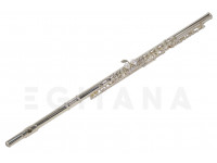 Wisemann DFl-480 Wisemann DFl-480